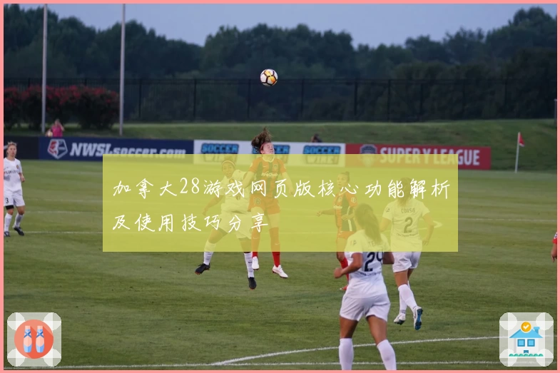 加拿大28游戏网页版核心功能解析及使用技巧分享