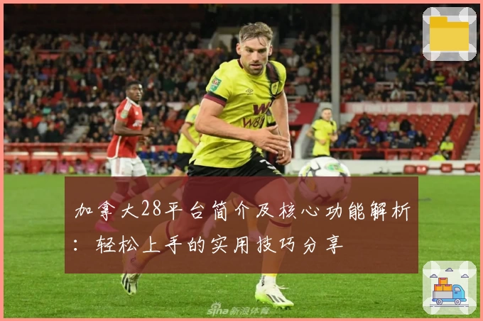 加拿大28平台简介及核心功能解析：轻松上手的实用技巧分享