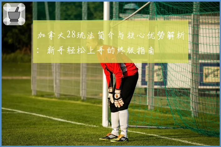 加拿大28玩法简介与核心优势解析：新手轻松上手的终极指南