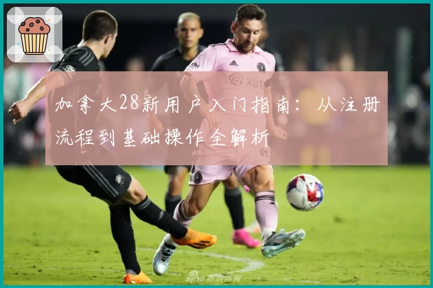 加拿大28新用户入门指南：从注册流程到基础操作全解析