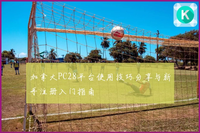 加拿大PC28平台使用技巧分享与新手注册入门指南
