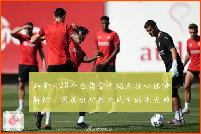 加拿大28平台背景介绍及核心优势解析：深度剖析用户认可的亮点功能