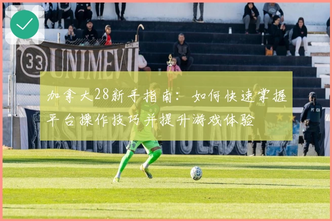 加拿大28新手指南：如何快速掌握平台操作技巧并提升游戏体验