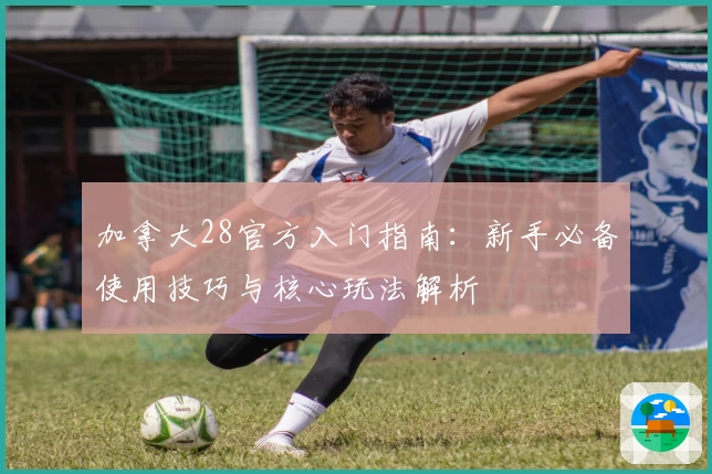 加拿大28官方入门指南：新手必备使用技巧与核心玩法解析