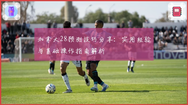 加拿大28预测技巧分享：实用经验与基础操作指南解析