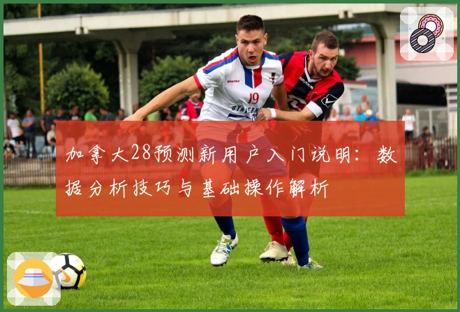 加拿大28预测新用户入门说明：数据分析技巧与基础操作解析