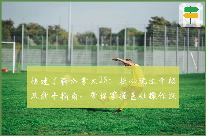 快速了解加拿大28：核心玩法介绍及新手指南，带你掌握基础操作技巧与使用体验解析