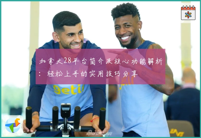 加拿大28平台简介及核心功能解析：轻松上手的实用技巧分享