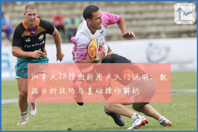 加拿大28预测新用户入门说明：数据分析技巧与基础操作解析