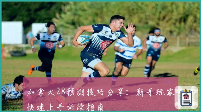 加拿大28预测技巧分享：新手玩家快速上手必读指南