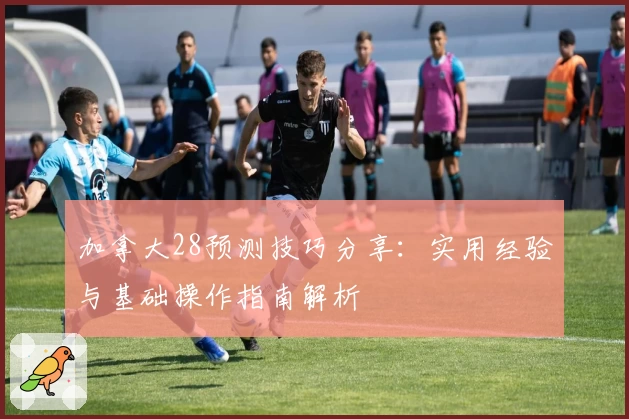 加拿大28预测技巧分享：实用经验与基础操作指南解析