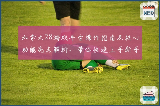 加拿大28游戏平台操作指南及核心功能亮点解析，带你快速上手新手指引