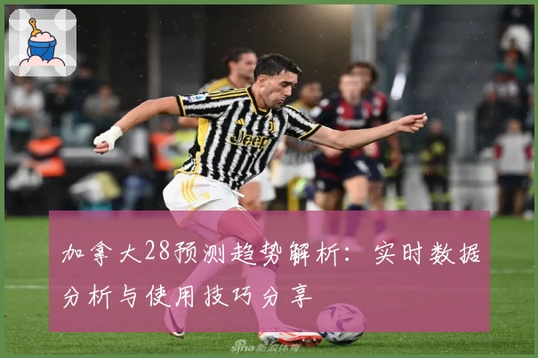 加拿大28预测趋势解析：实时数据分析与使用技巧分享